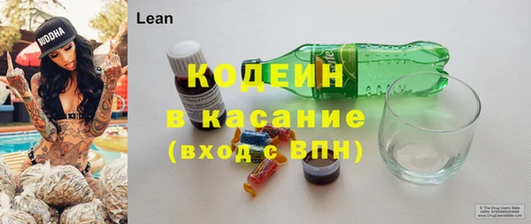 метадон Каменка