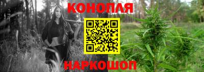 твердый Будённовск