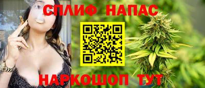 твердый Будённовск