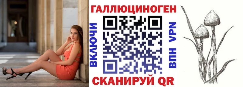 Галлюциногенные грибы GOLDEN TEACHER  закладки  Ессентуки 