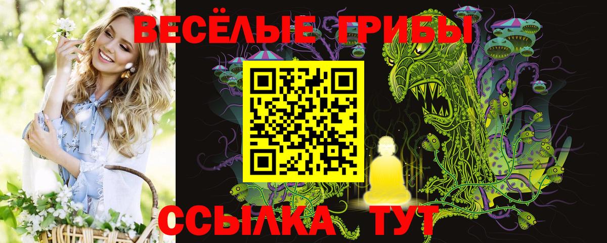 Ессентуки  Псилоцибиновые грибы мухоморы  Вход с VPN  Галлюциногенные грибы мухоморы 