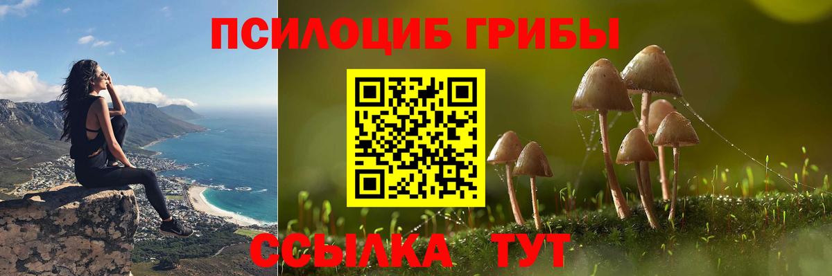 Псилоцибиновые грибы MAGIC MUSHROOMS Ессентуки